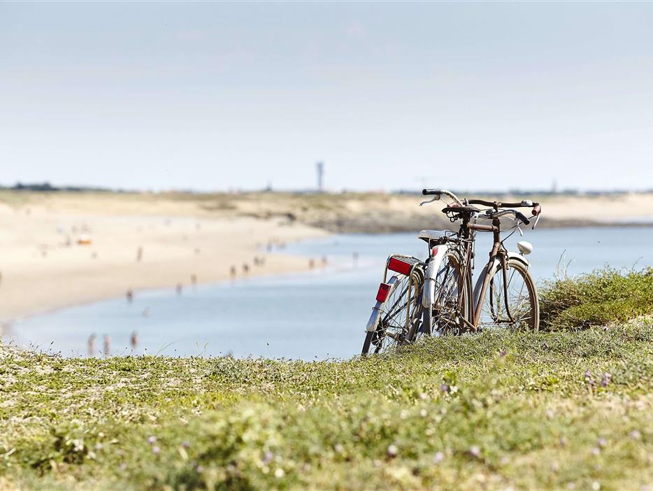 découvrir la Vendée à vélo  - CAMPING*** Les Sirènes